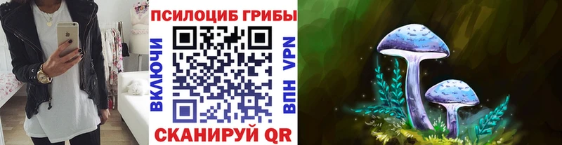 Псилоцибиновые грибы мухоморы  наркошоп  Бежецк 