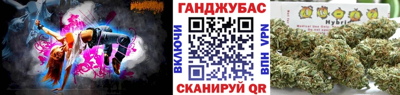 Канабис план  OMG как войти  маркетплейс клад  Бежецк 